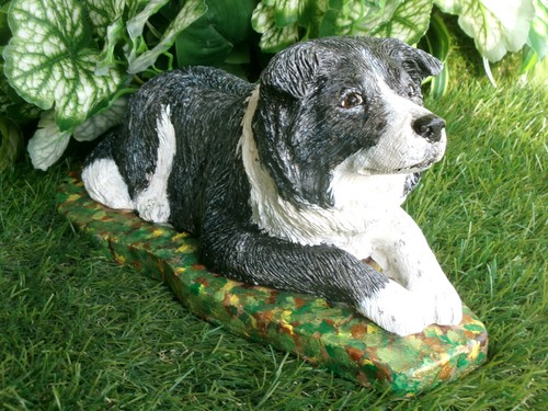 Border collie dogconcrete - collie,