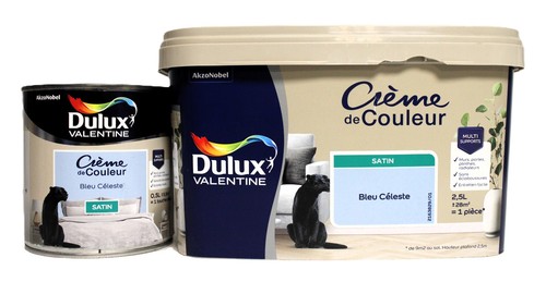 Lot peinture dulux valentine - peinture,