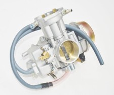 Carburateur pour Yamaha Rhino