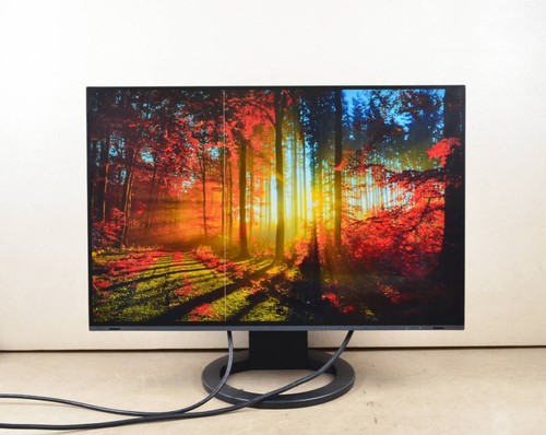 Eizo ev2485 inch wuxga - eizo,
