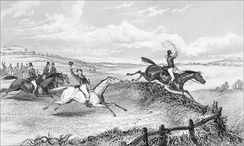 Equitation chasse courre - chasse, à