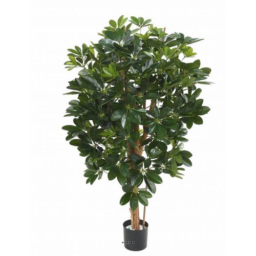 Superbe schefflera artificiel
