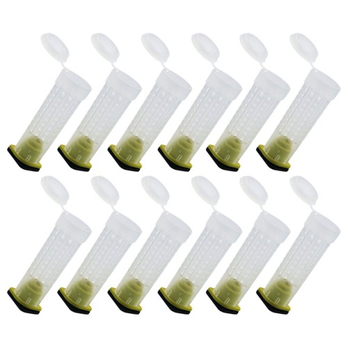 Pcs cages abeilles en - 40,