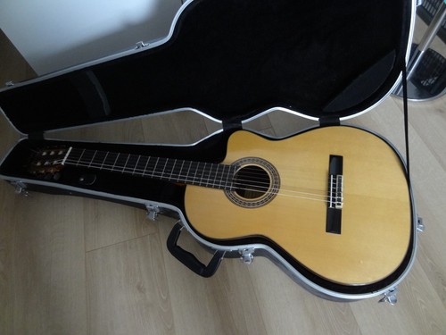 Guitare acoustique geronimo - guitare,