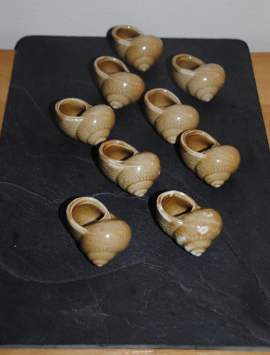 Lot grosses coquilles - 9,