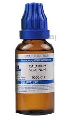 Sbl caladium seguinum dilution - caladium,