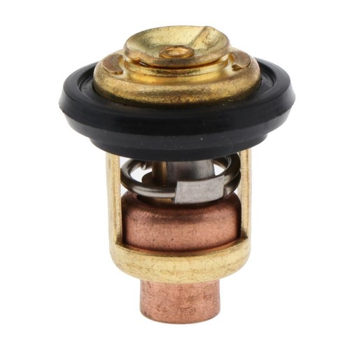 Thermostat pour - 60, ℃