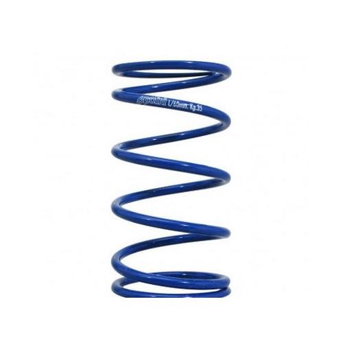 Ressort embrayage evo polini - evo,