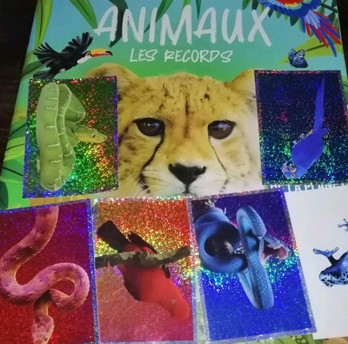 Panini x70 stickers animaux - x70,