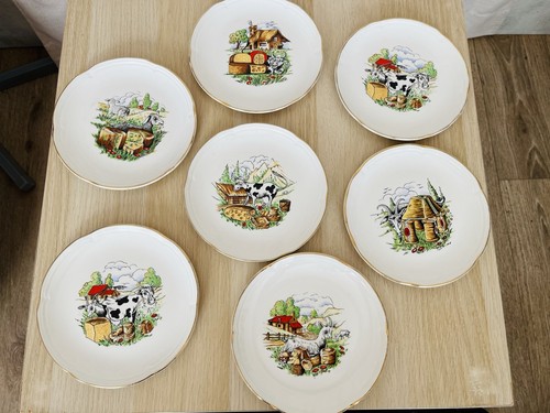 Assiettes dessert ou - 7,