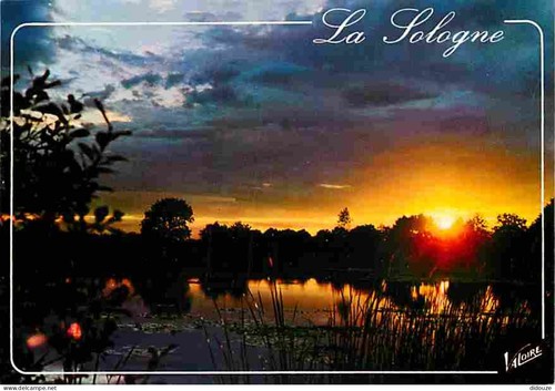Carte postale sologne - -, 41