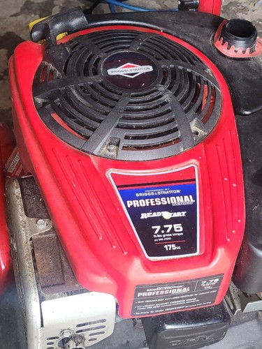 Briggs stratton professional - briggs, &