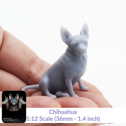 Chihuahua 12 scale - -,