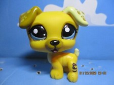 PETSHOP DOG JACK RUSSEL N°1496