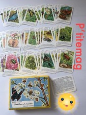 Ancien Jeu de 12 Familles LES