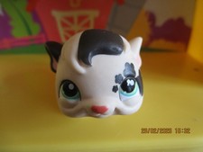 Petshop Cochon d'inde #1394