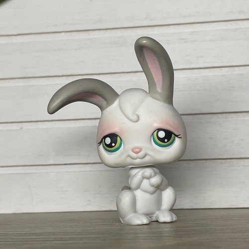 Petshop lapin garenne - lapin,