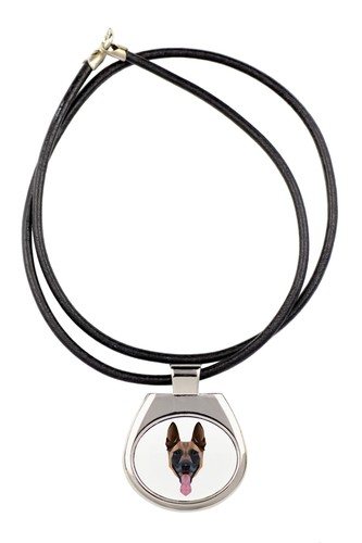 Berger belge malinois - berger,