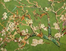 Japonais Cerise Floraison