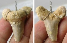 #18 African 100% Natural