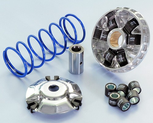 Variateur polini sym - polini, gts