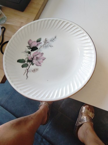 Assiettes plates diamètre - plates,