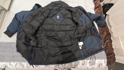 Canada goose - canada,