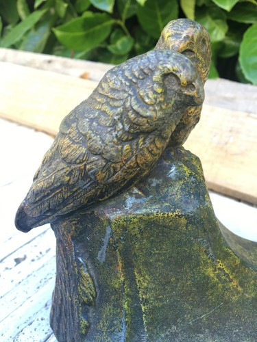 Parakeet - parakeet,
