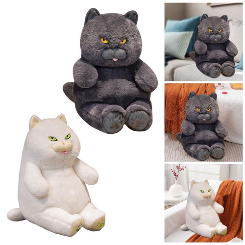 Chat peluche british - peluche,
