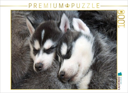 Calvendo puzzle siberian - siberian, husky