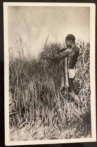 Carte photo oubangui pauleau - carte,