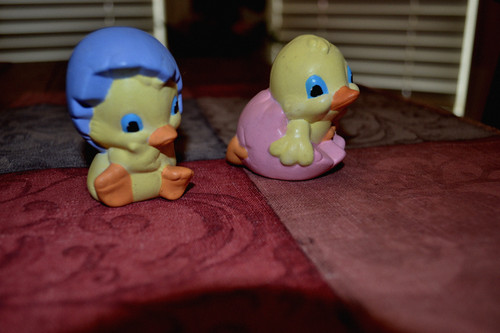 Easter chicks hatching from - chicks,