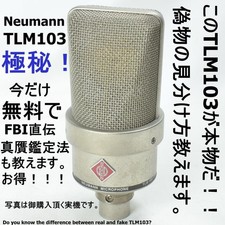 Boîtier du microphone Neumann