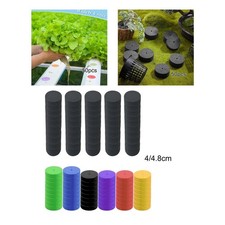 50 inserts en mousse pour