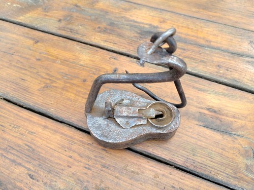 Lampe mineur froschlampe - lampe,