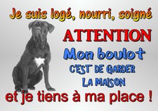 plaque chien cane corso 29 X 19 cm percée aux angles réf 76