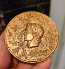 Ancienne Médaille De Table