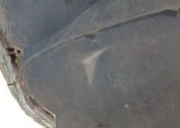 Pare choc arriere volkswagen - choc,