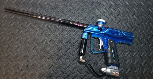 Dynasty sft shocker - dynasty,