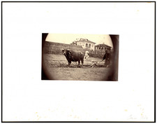 Ouvrier et sa charrette à