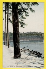 Old postcard FRANCE 75 - PARIS Lac Bois de Boulogne SNOW EFFECT ducks