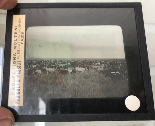 Ancien negatif photo plaque - negatif, de
