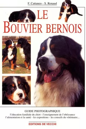 Bouvier bernois sylvie - bouvier, bernois,