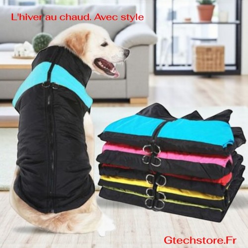 Manteau chien hiver - chien,