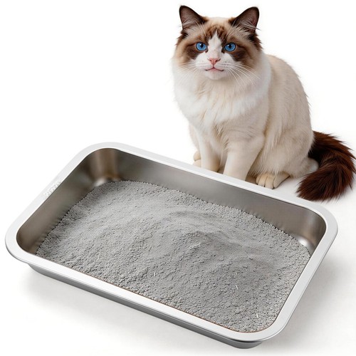 Bac litière pour chat en - à,
