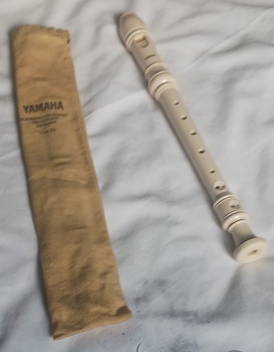 Flute scolaire avec - flute,