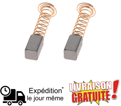 Paire charbons brosses neuf - paire,