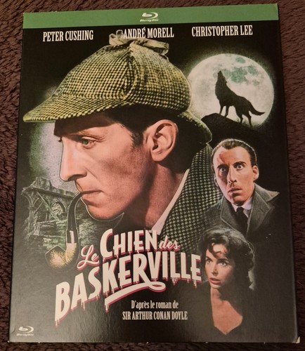 Chien des baskerville - chien,