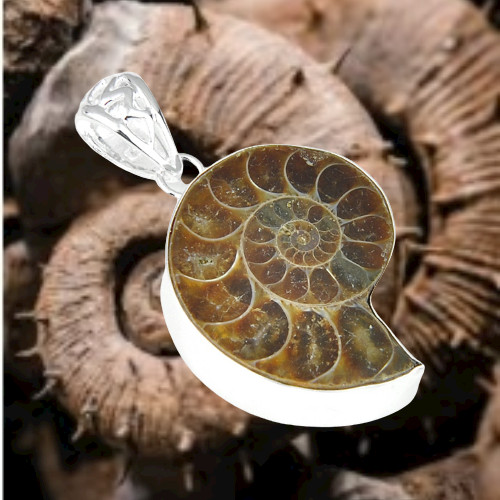 Collier pendentif fossile - collier,