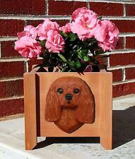 Vase À Fleurs Cavalier King